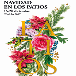 Navidad en los Patios de Córdoba - Navidad en Córdoba: Nochevieja, Fin de año ✈️ Foro Andalucía