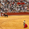 Festival taurino 2012 de la Feria de Córdoba (20 al 28 mayo)