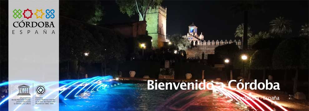 LA LUZ DE LAS CULTURAS