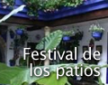 Festival de los Patios
