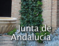 Junta de Andaluc&iacute;a