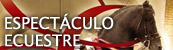 Espectáculo Ecuestre