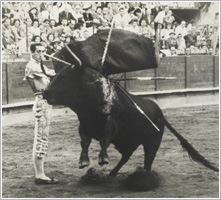 Manolete (foto del Museo Municipal Taurino)