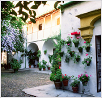 Convento de Santa Cruz