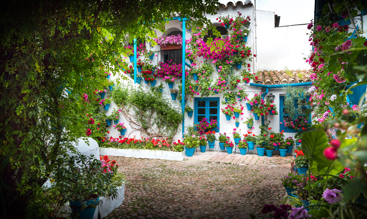 Centro de Interpretación de la Fiesta de los Patios Trueque Cuatro