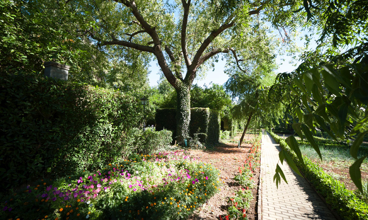 Jardín Botánico