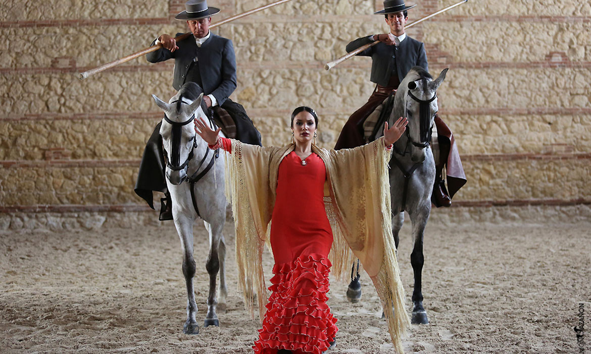 The Passion and Spirit of Andalusian Horse Equestrian Show (Cordoba - Spain)