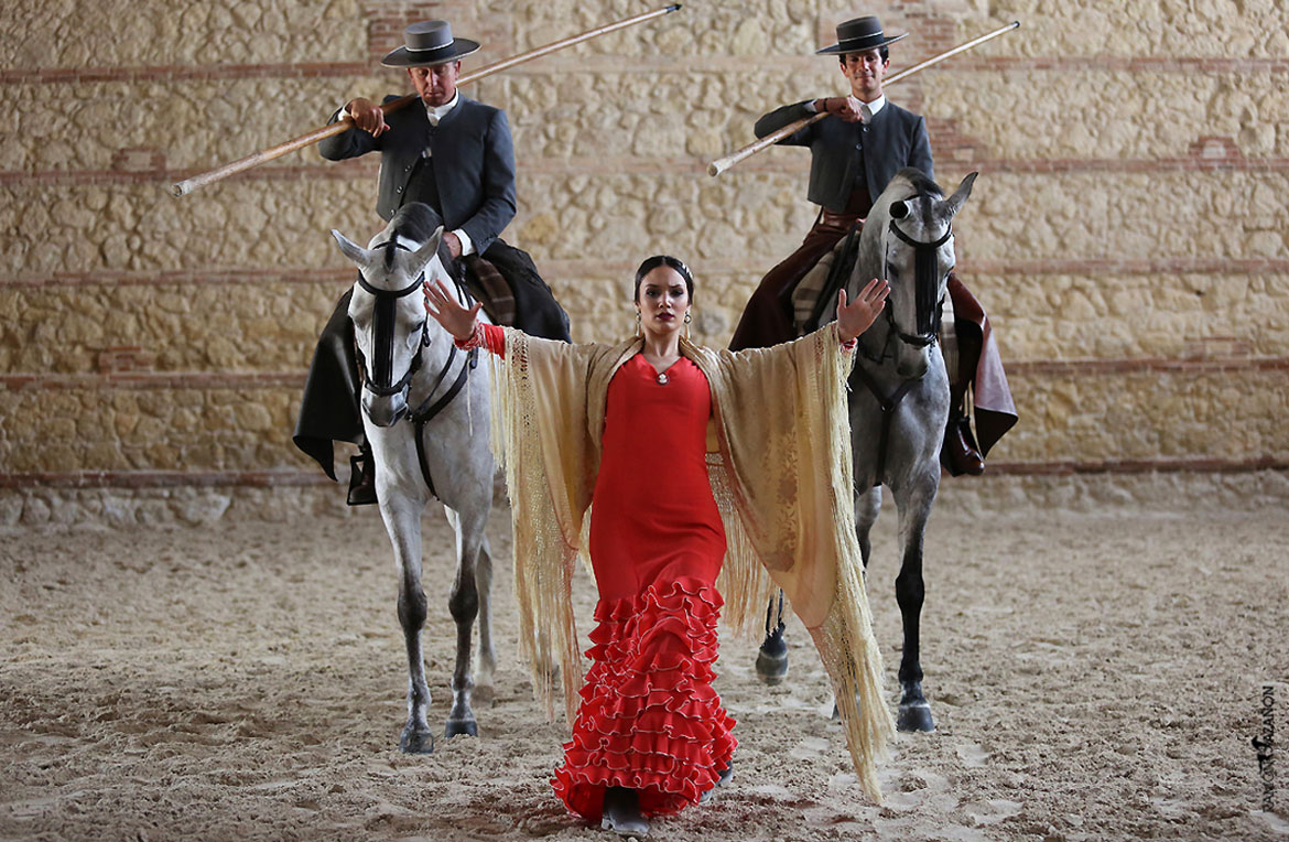 The Passion and Spirit of Andalusian Horse Equestrian Show (Cordoba - Spain)