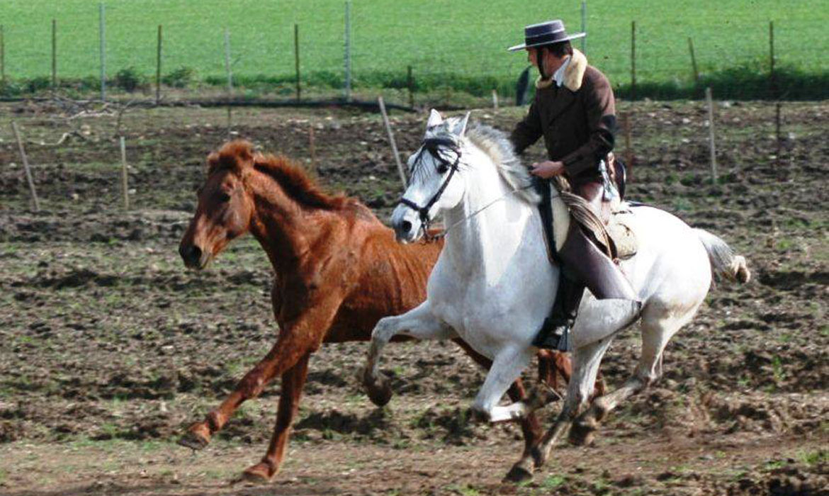 Actividades ecuestres, ganaderas y camperas en Córdoba (España)