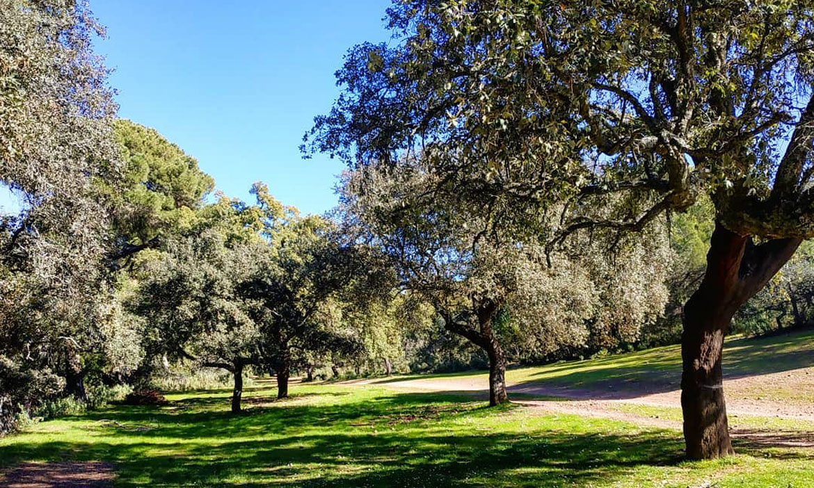 Hiking Trails and orienteering in Cordoba (Spain)