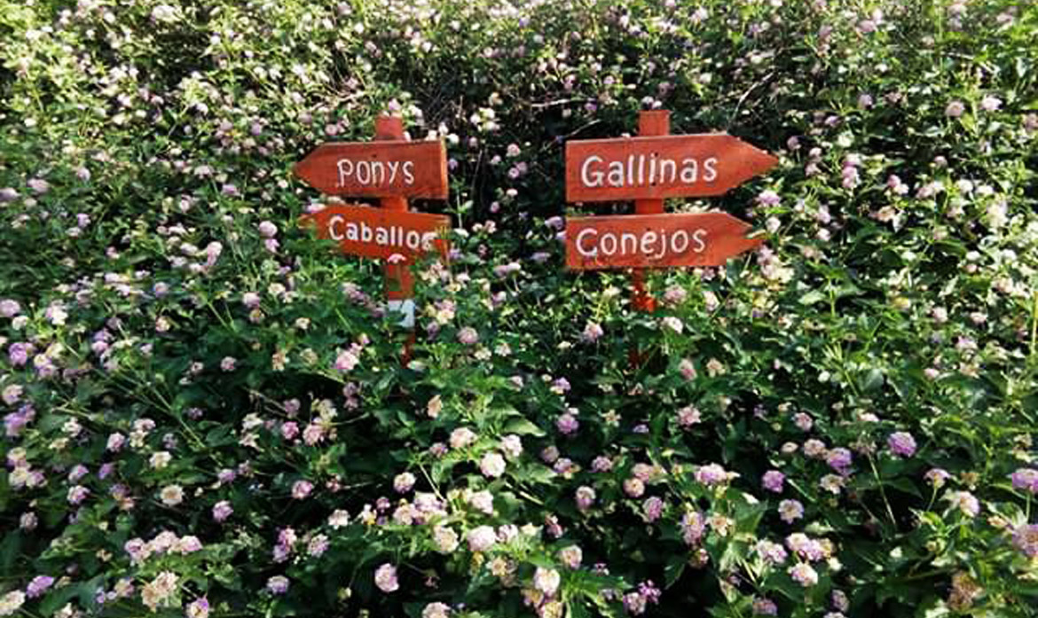 Environmental education in an Educational Farm (Cordoba - Spain)