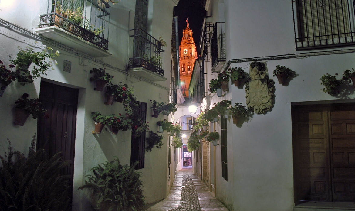 Calleja de las Flores (Alley of the Flowers) (Cordoba - Spain)