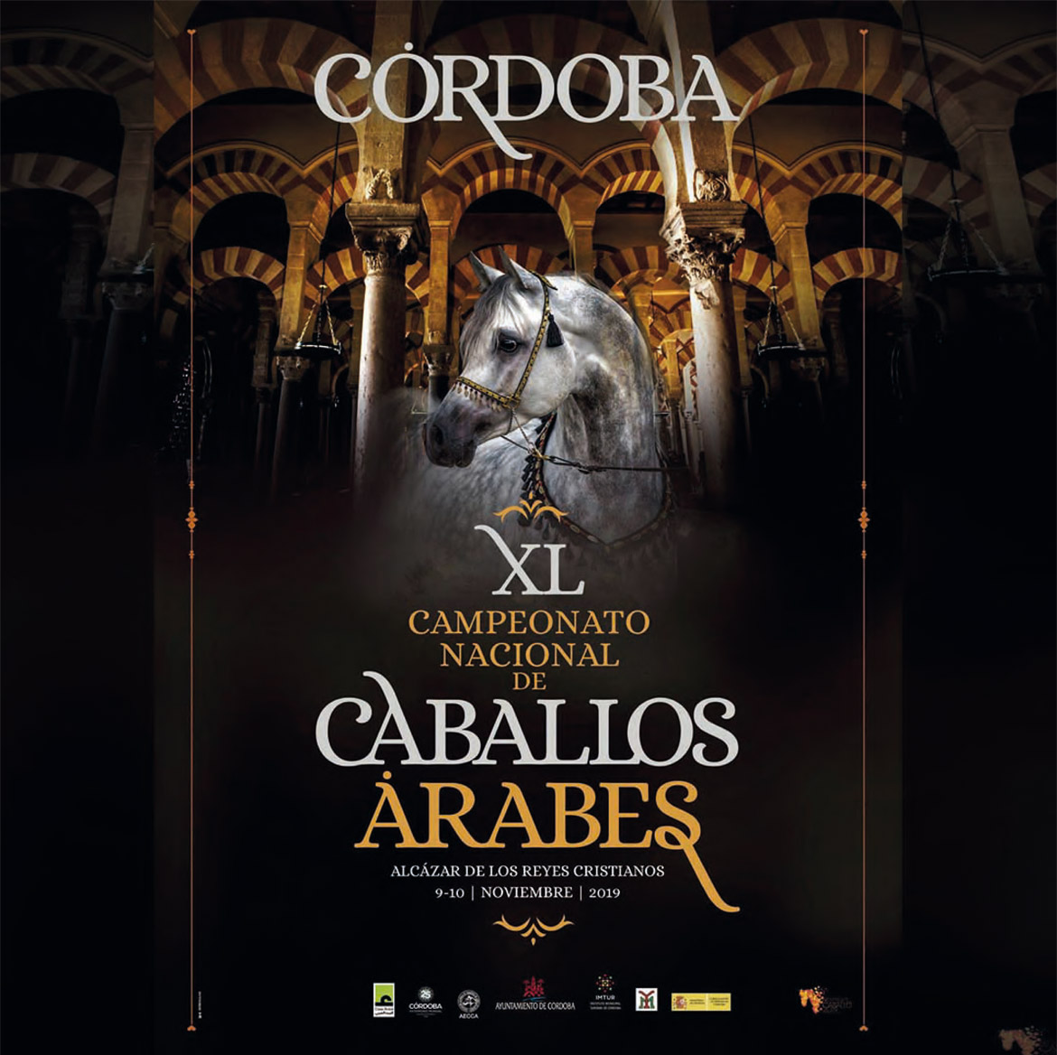 XL Campeonato Nacional de Caballos Árabes (Córdoba - España)