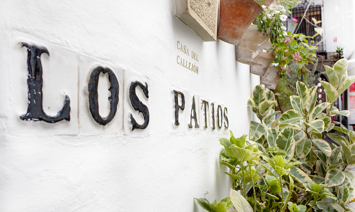 Hotel Los Patios (Cordoba - Spain)