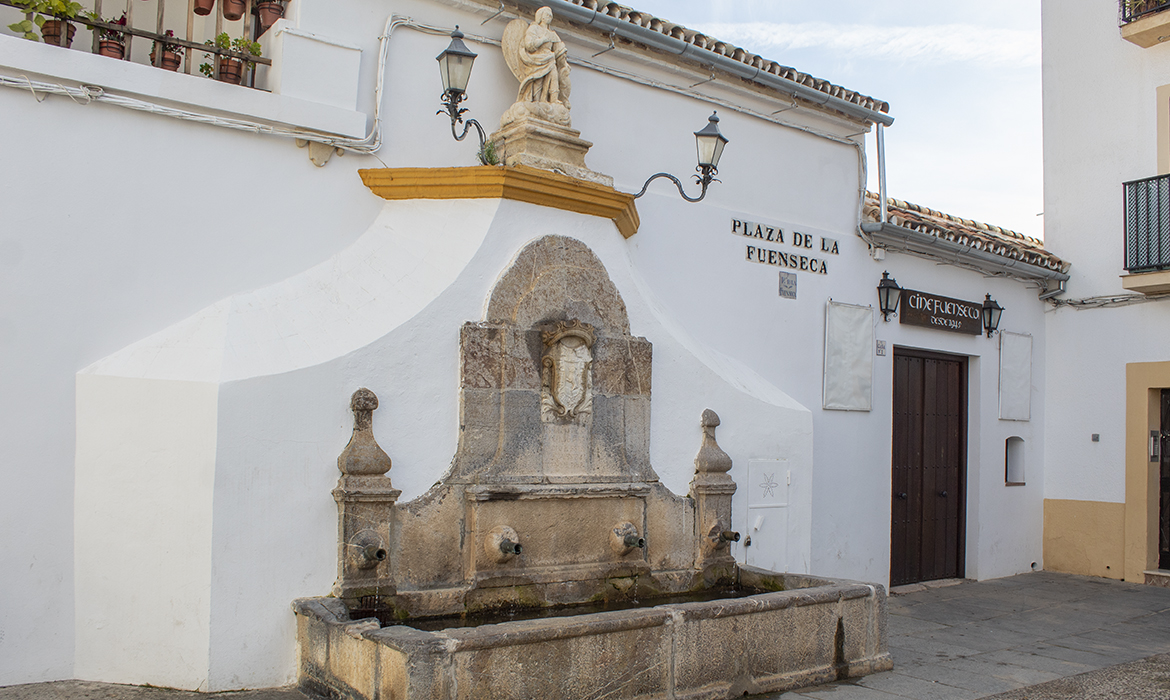 Fuente de la Fuenseca