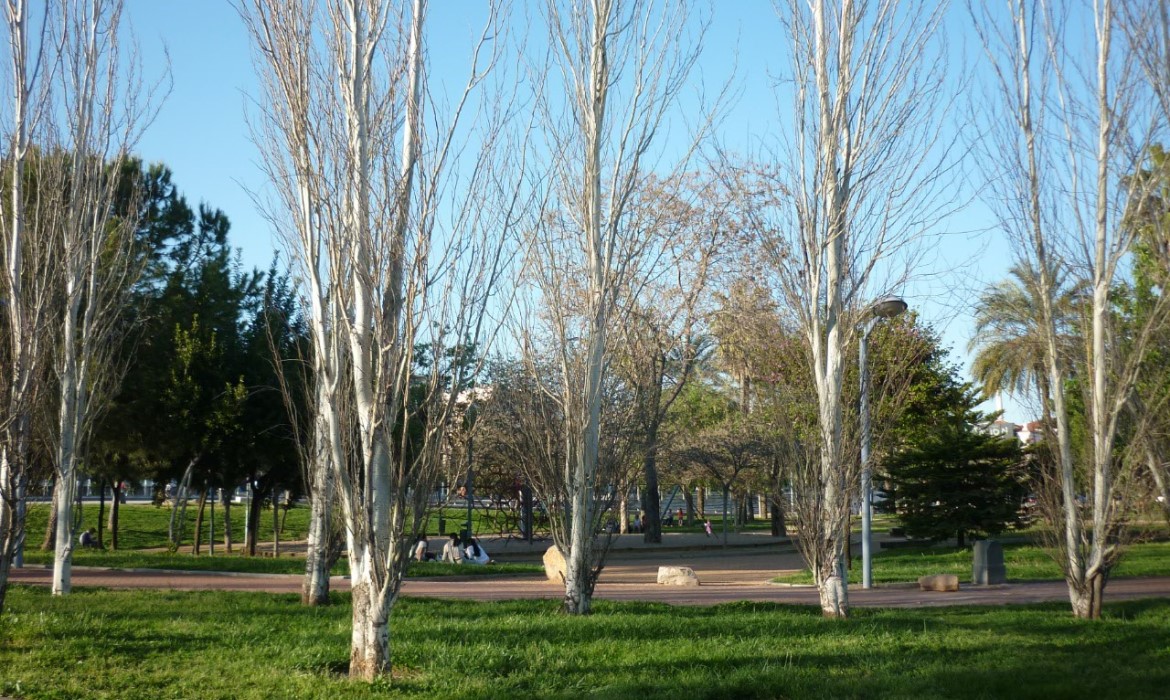 Gardens of Vial Norte (Cordoba - Spain)