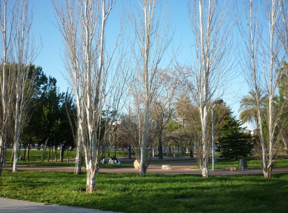 Gardens of Vial Norte (Cordoba - Spain)