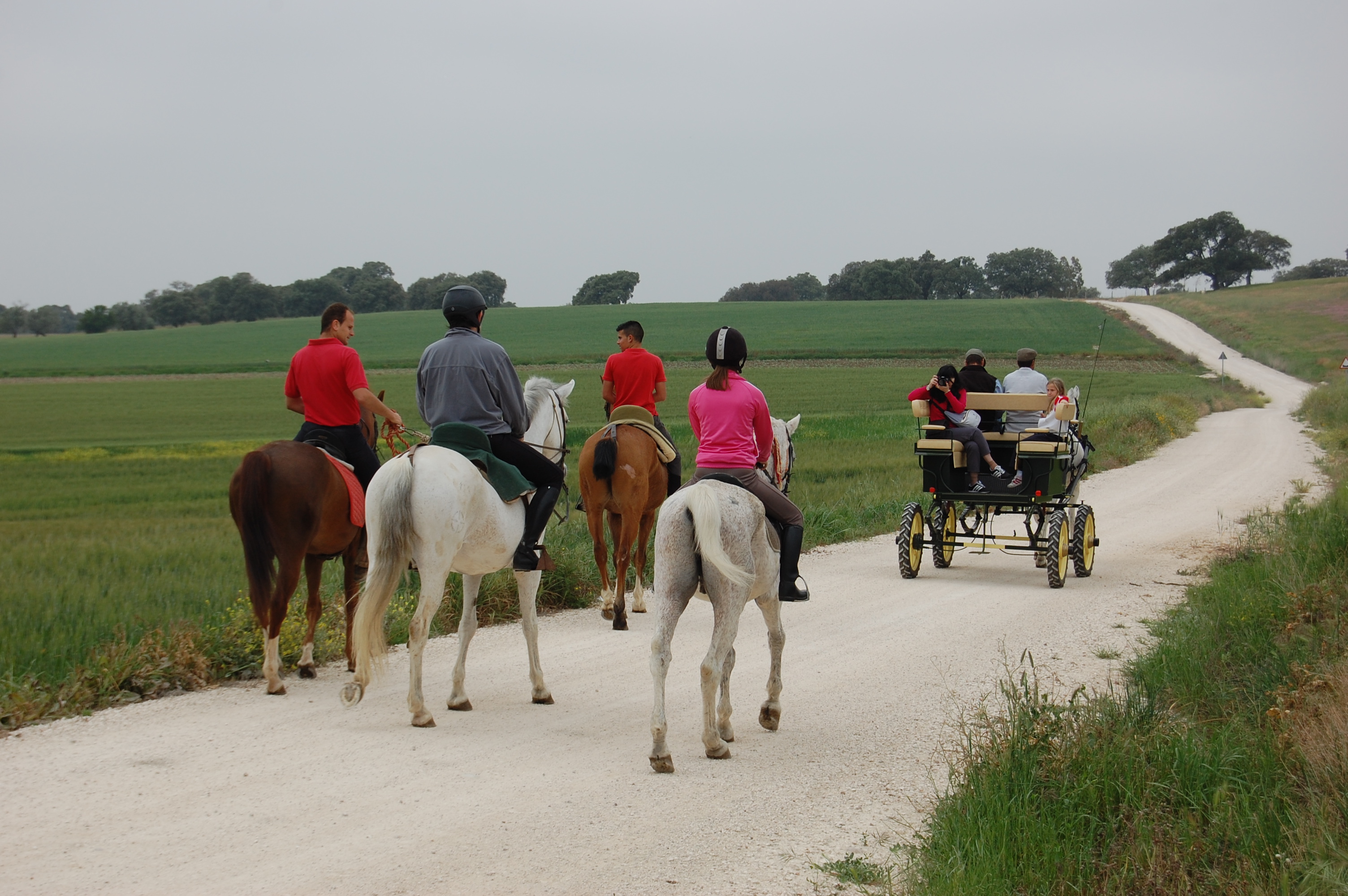 Equestrian events and activities (Cordoba - Spain)