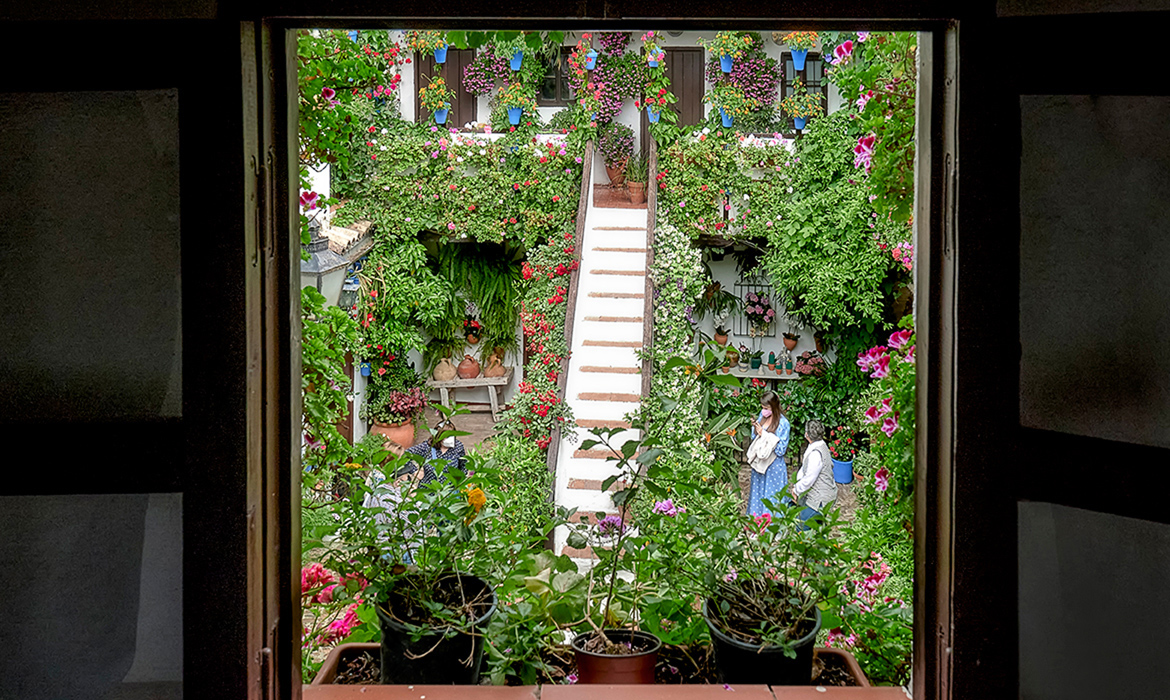 The courtyards Festival of Cordoba (Spain)