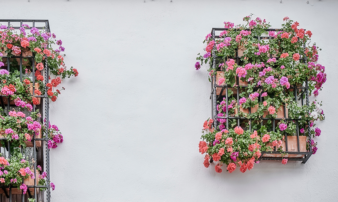 Window grilles and balconies competition (Cordoba - Spain)