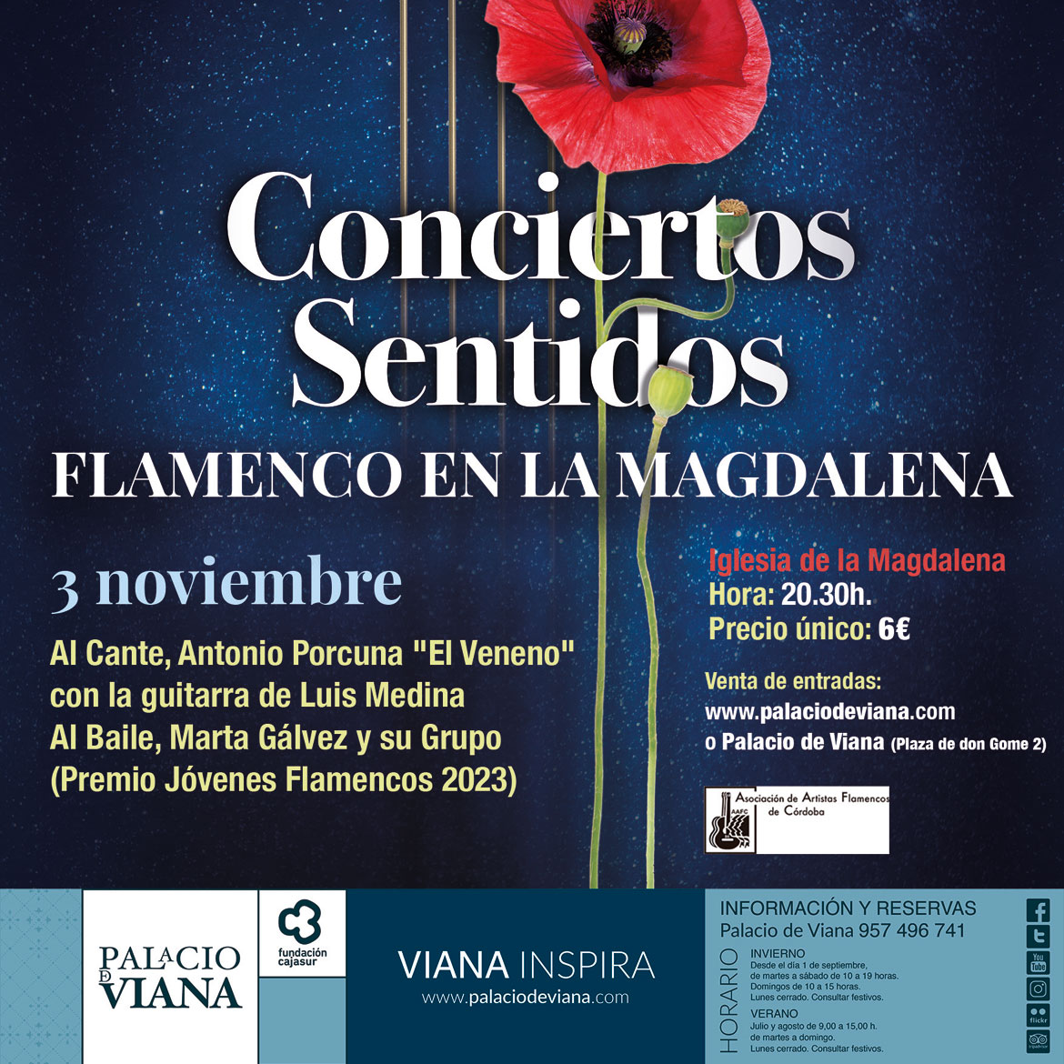 Conciertos Sentidos en la iglesia de la Magdalena (Córdoba - España)