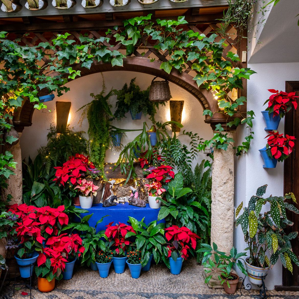 La Fiesta de los Patios de Córdoba en Navidad