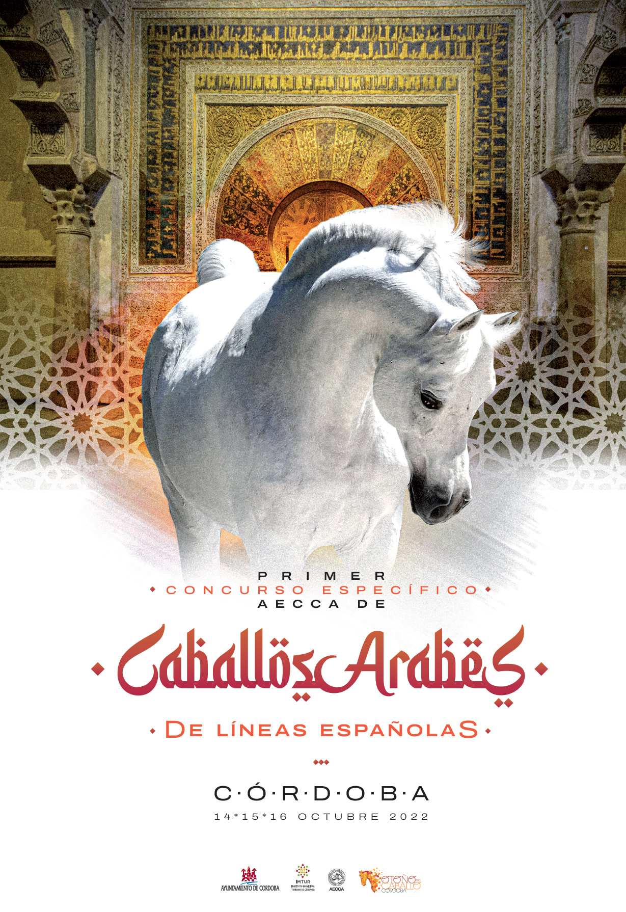 Primer Concurso Específico AECCA de Caballos Árabes de Líneas Españolas