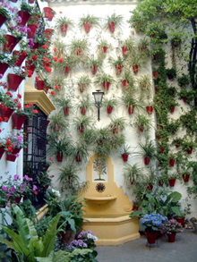 http://www.turismodecordoba.org/imagenes/quehacer/visitar_patios2.jpg