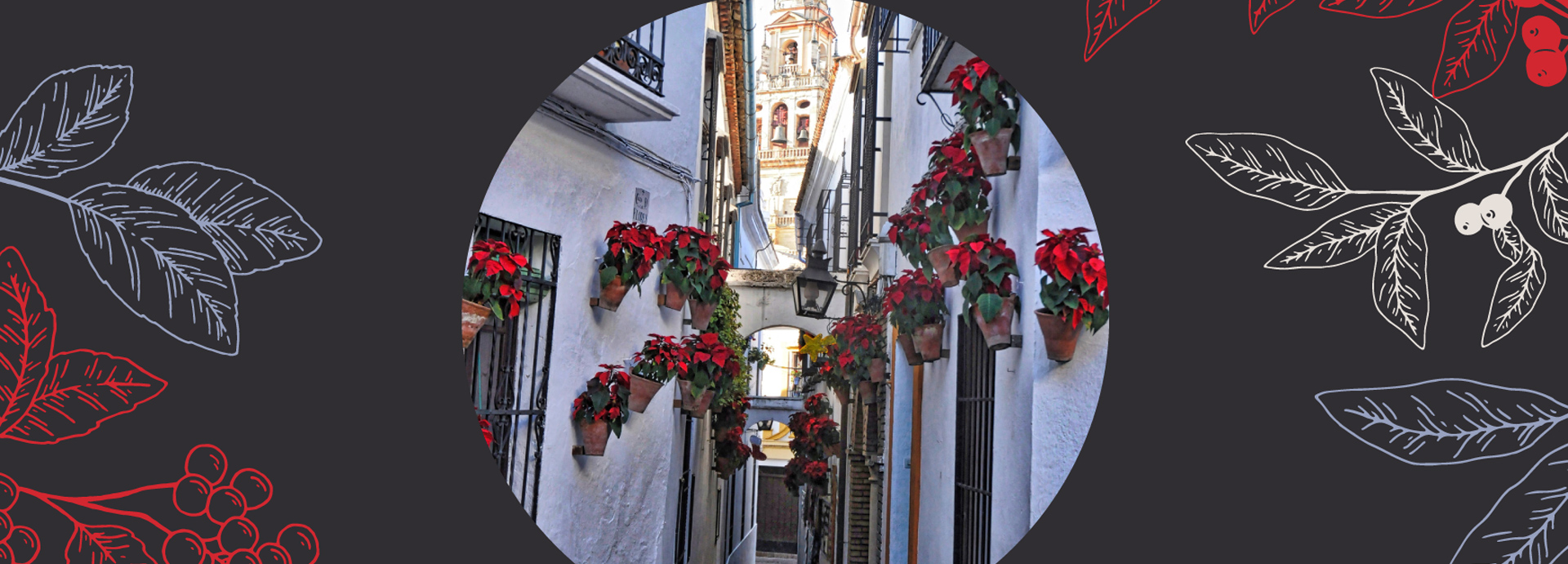 Felices Fiestas desde Córdoba